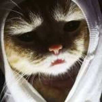 Con Chim non's avatar image