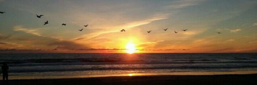 charlie's cover image