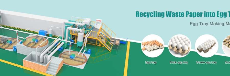 June Jia's cover image