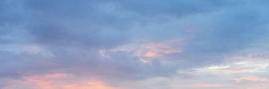 Phung Thach's cover image