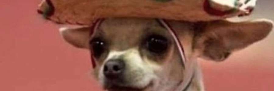 t1mmy's cover image