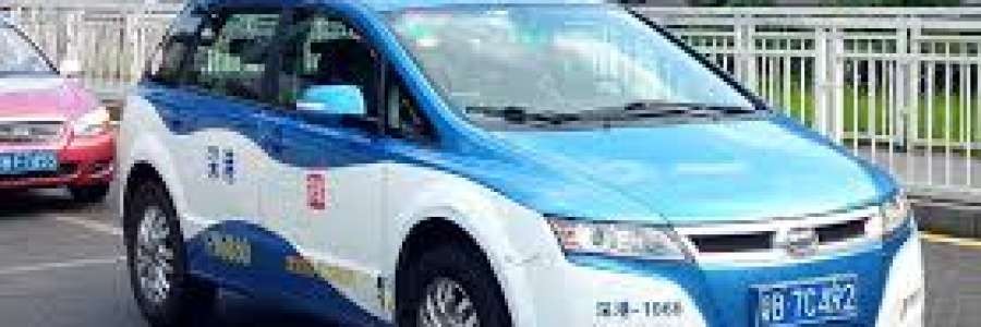 electric vehicle fleet's cover image