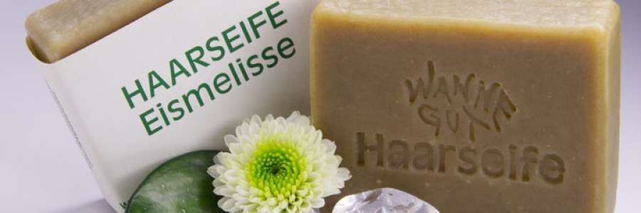 Wanne Gut's cover image
